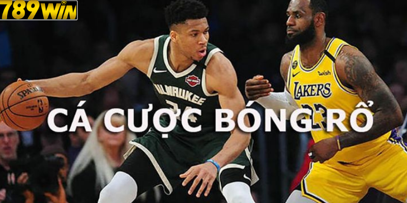 Cá Độ Bóng Rổ – Hướng Dẫn Chi Tiết Từ A–Z Cho Người Mới 2025