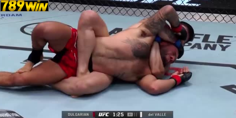 Giới Thiệu Cá Độ UFC - Bùng Nổ Tại 789Win